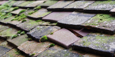 Cobblers Hill roof repair costs